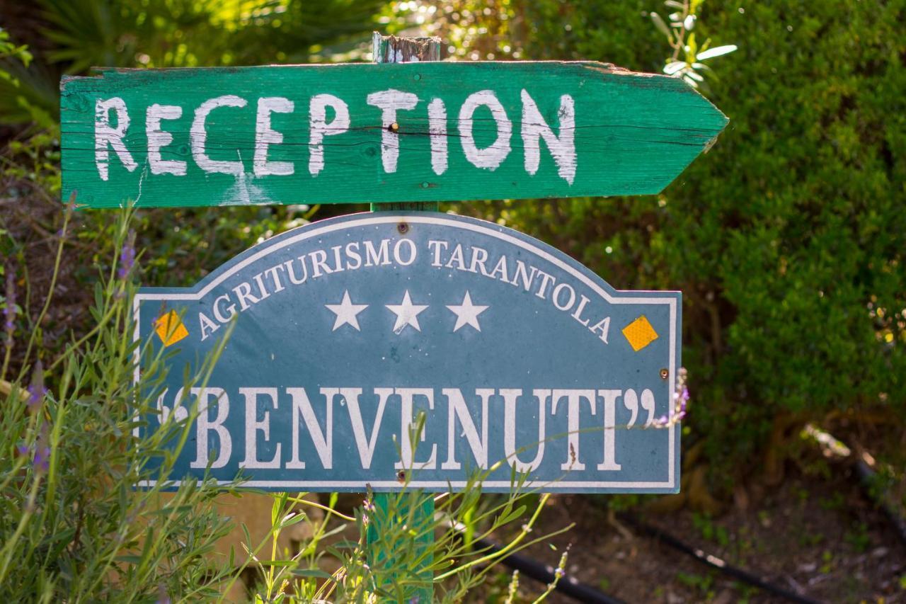 Agriturismo Tarantola Alcamo Buitenkant foto
